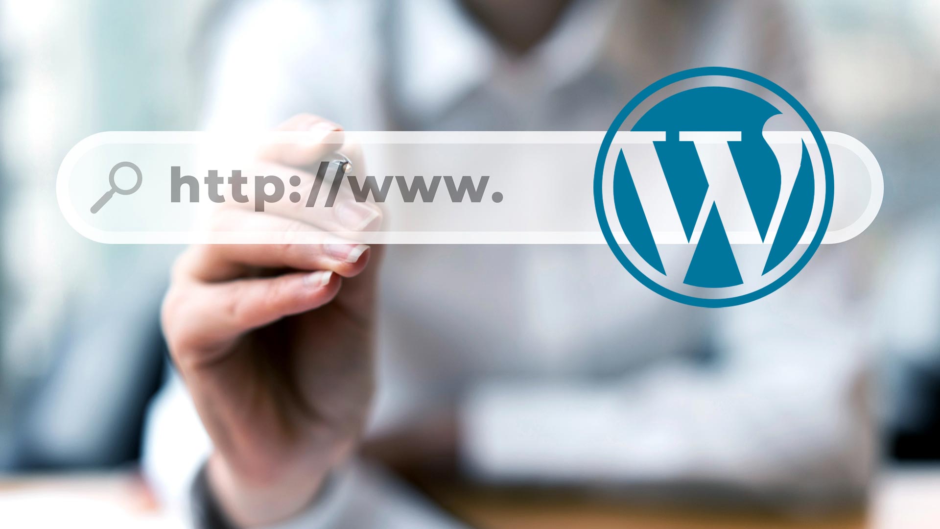 dicas layout wordpress